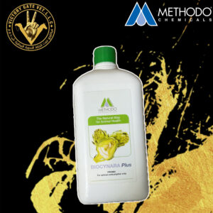 BIOCYNARA Plus