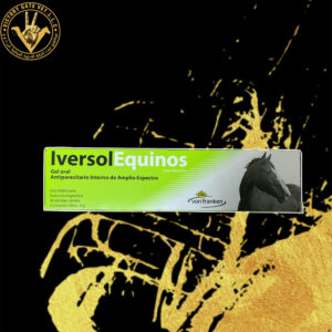 IversolEquinos