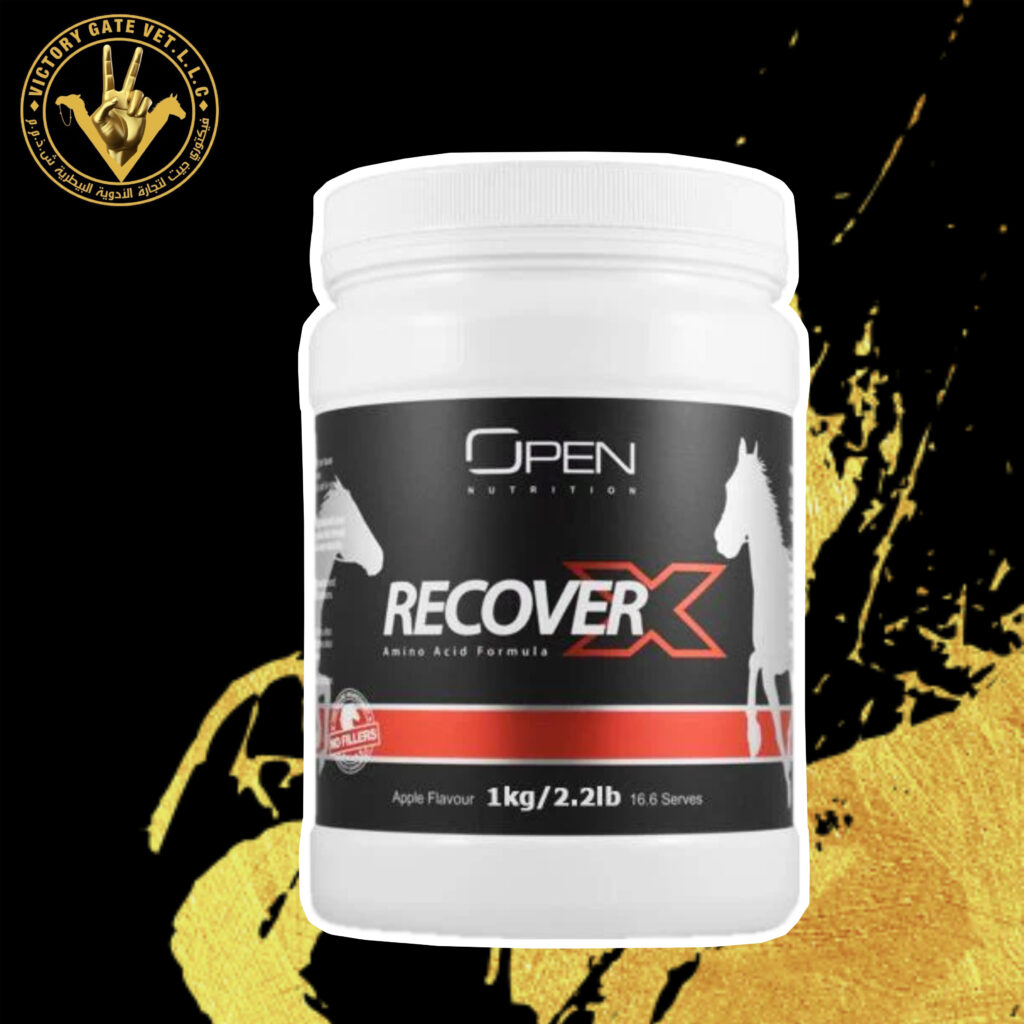 RecoverX